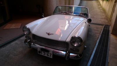p1000556.jpg