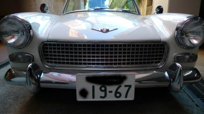 p1000559.jpg