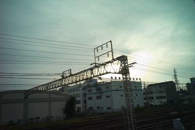 l9990563.jpg