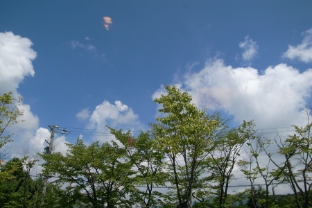 R0011488
